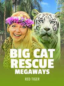 Review Game Big Cat Rescue Megaways: RTP, Fitur, dan Kelebihan banner